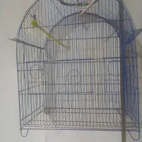 قفس پرنده