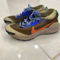 کفش نایک پگاسوس تریل گورتکس