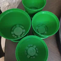 گلدان های سبز|گل و گیاه طبیعی|تهران, مهرآباد جنوبی|دیوار