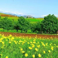 فروش زمین ۳۰۰متر واقع در قله دودمان پشت فرودگاه