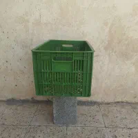 سبد میوه|ظروف نگهدارنده، پلاستیکی، یک‌بارمصرف|رباط‌کریم, رباط‌کریم|دیوار