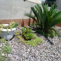 بنای