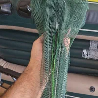 گرگور تور بچه ماهی|ماهیگیری|اصفهان, باغ فدک|دیوار