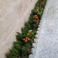 گل کاری وباغبانی هرس کاری وپابیل کردن|خدمات باغبانی و درختکاری|قم, بلوار امین و ساحلی|دیوار