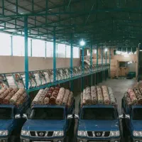 قالیشویی بزرگ گلرنگ