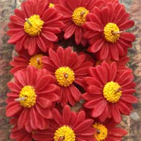 شمع بابونه|صنایع دستی و سایر لوازم تزئینی|تهران, ستارخان|دیوار