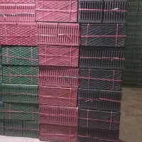 سینی نشا برنج