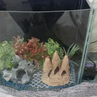 آکواریوم در حد نو با تمامی لوازم