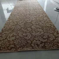 موکد ضریف مصور کاملیا