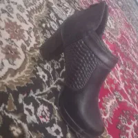 کفش نو نو|کیف، کفش، کمربند|سهند, |دیوار