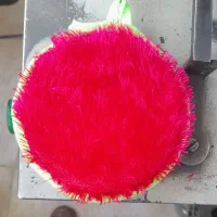 خورشیدی درجه ۱|لوازم نظافت|تهران, امیریه|دیوار