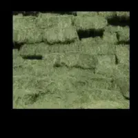 یونجه و کاه بتوز