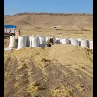 کاه درجه یک چناران|عمده‌فروشی|چناران, |دیوار