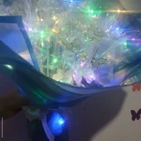 گل پروانه ای