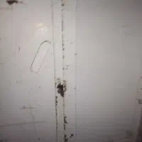 درب و پنجره|مصالح و تجهیزات ساختمان|چرداول, |دیوار