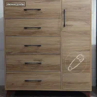 دراور و رگال مدرن