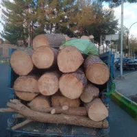 برش و خرید چوب