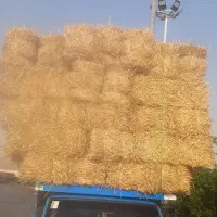 کاه