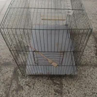 قفس فروشی فوری|لوازم جانبی حیوانات|گنبد کاووس, |دیوار