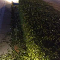 جویای کار ساعتی و نظافتچی در روزهای یکشنبه هفته