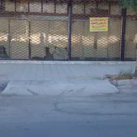 به رهن واجاره دادن یک باب مغازه تجاری