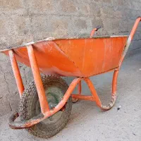 فرغون پوسته زخیم