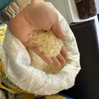 برنج هندی دانه بلند آرام