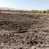 کود مرغی قفسی تخمگذار|خدمات باغبانی و درختکاری|خرمدره, |دیوار