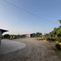 فروش زمین کشاورزی و باغ|فروش دفتر صنعتی، کشاورزی، تجاری|گنبد کاووس, |دیوار