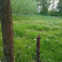 زمین باغی داخل طرح ساحلی ۲۳۲ متری ویلایی نشین|فروش زمین و ملک کلنگی|بندر انزلی, طالب آباد|دیوار