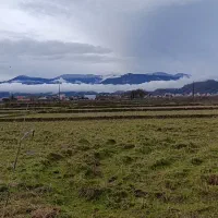 زمین مزروعی مناسب باغ کیوی درمتراژ مختلف زیر قمیت