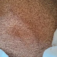 برش پرشه درجه یک