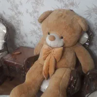 خرس بزرگ ۲ متری