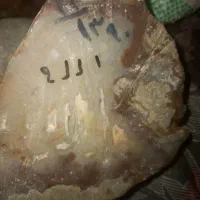 انواع عقیق مصور و مشجر بصورت یکجا یا تکی