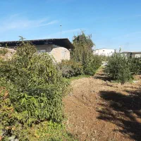 زمین ۱۰۰۰ متر مسکونی فوری