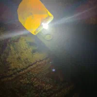 سنگ راف اوپال|جواهرات|تهران, کوی بیمه|دیوار