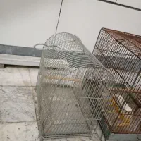 قفس سهره|لوازم جانبی حیوانات|اراک, |دیوار