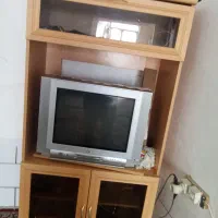 زیر تلوزیونی