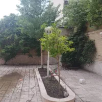 ویلایی ۳۳۶ متری/ابکوه / گل