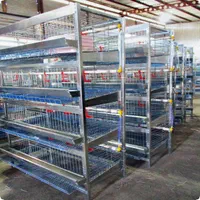 پرورش./مرغ/ رسمی.بومی صنعتی و خانگی