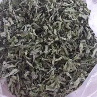 نعنا خشک