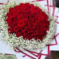 تاج گل تبریک پایه گل دسته گل سبد گل ترحیم تسلیت|گل و گیاه طبیعی|مشهد, امیر|دیوار