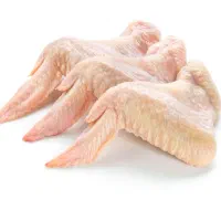 فروش شنسل سینه|خوردنی و آشامیدنی|رشت, بالاکویه|دیوار