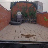 حمل بار خاور ایسوزو|خدمات حمل و نقل|بجنورد, |دیوار