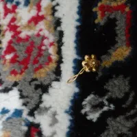 گوشواره گم شده