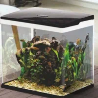 آکواریوم مدل دلسا سایز ۳۵×۲۵×۴۰ دارای نور led