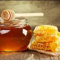 عسل تغذیه