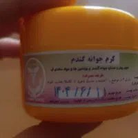 کرم جوانه گندم صورت ،ججم دهنده سینه و باسن اصلی