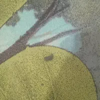 دو عدد فرش اتاق خاب و آشپز خانه|فرش|کرج, خرمدشت|دیوار