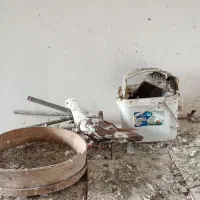 کبوتر|پرنده|خرمآباد, |دیوار